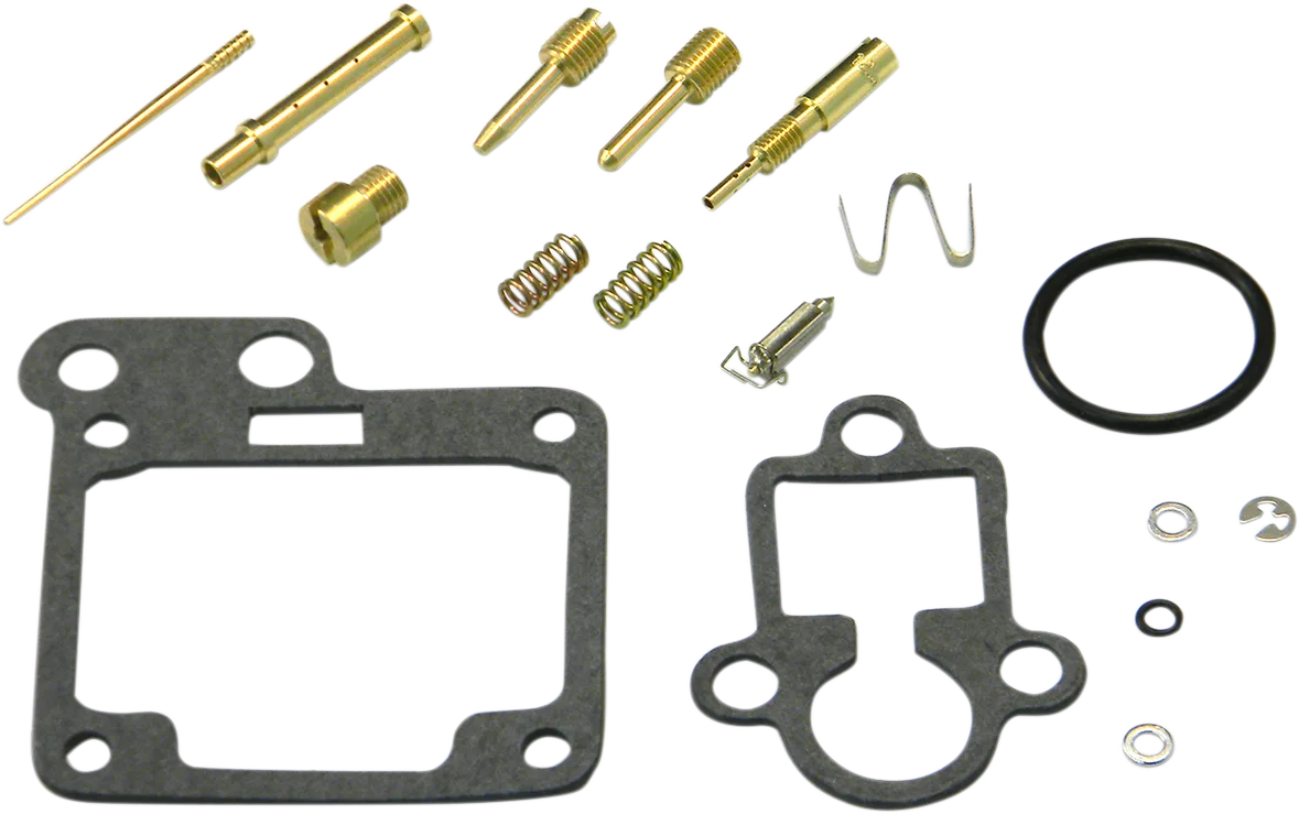 Carburetor Repair Kit