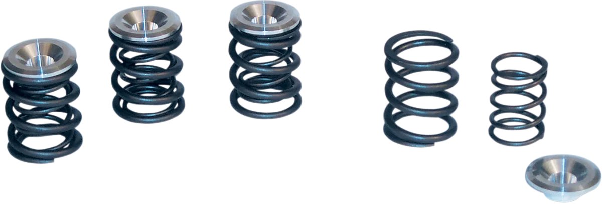 Valve Spring Kit