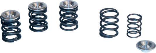 Valve Spring Kit