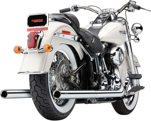 Bad Hombre Dual Exhaust System