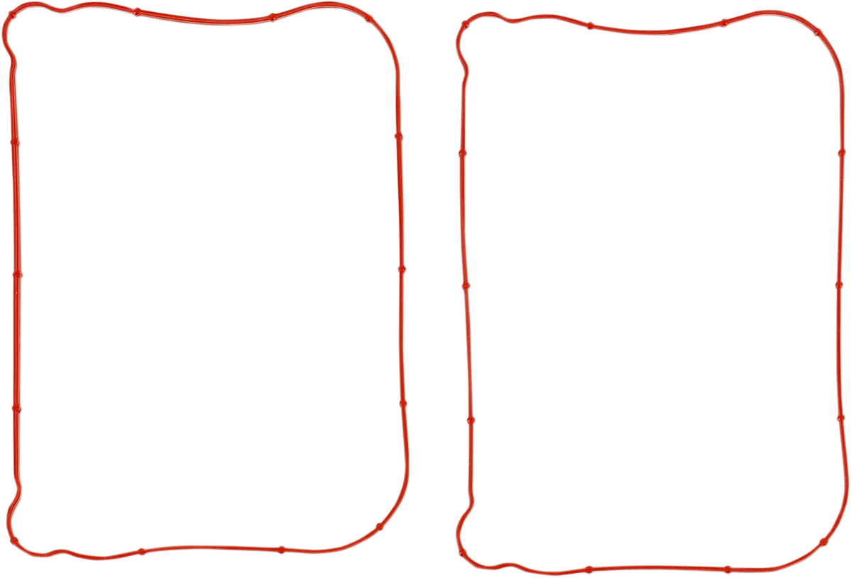 Rocker Gasket