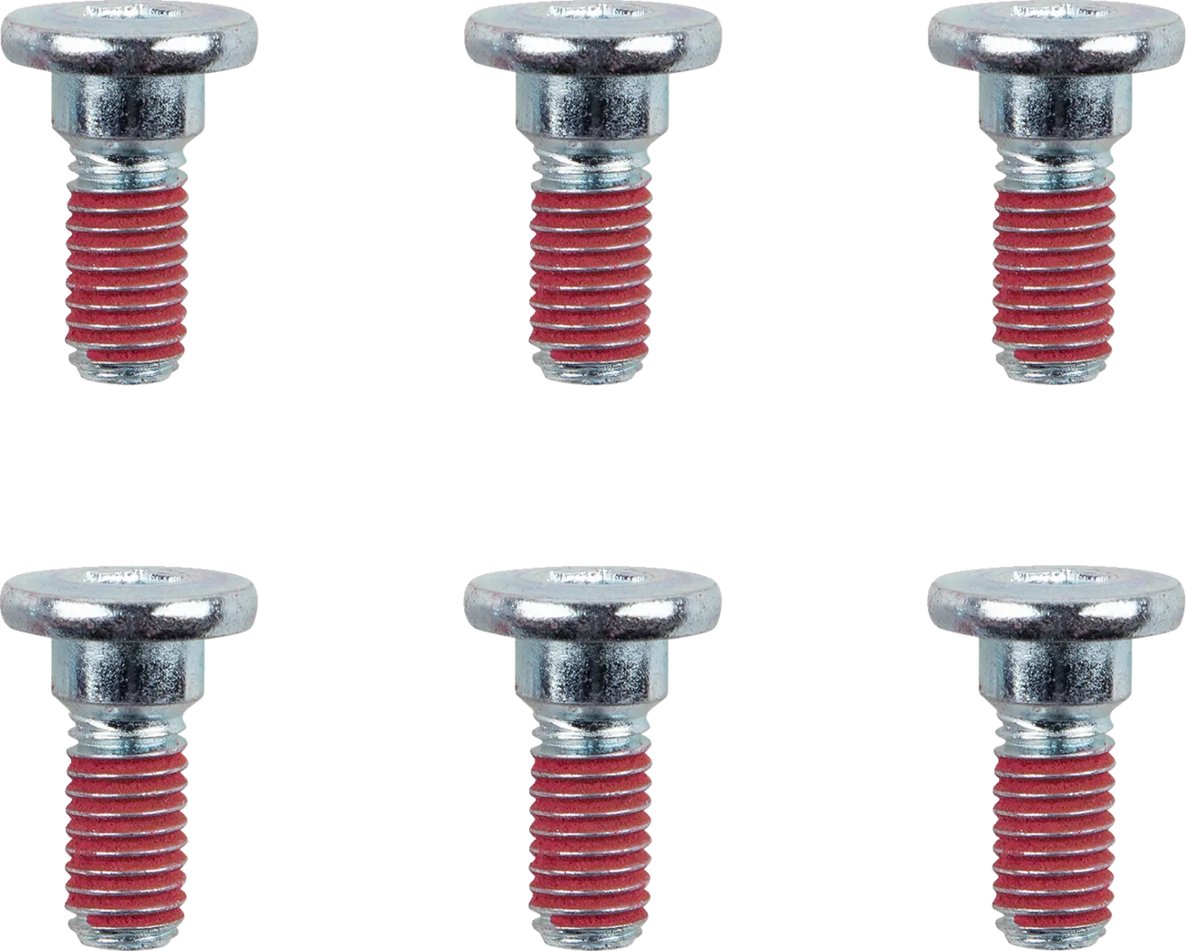 Brake Rotor Bolts