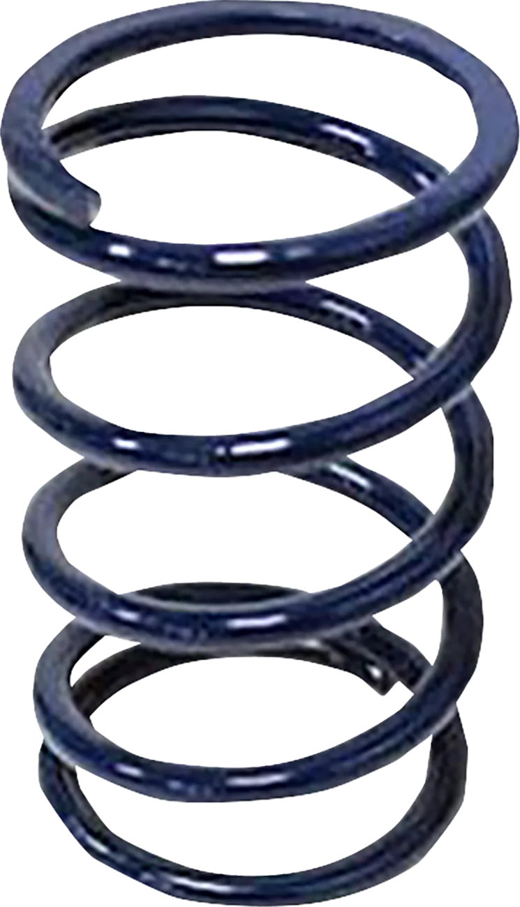 Secondary Clutch Spring
