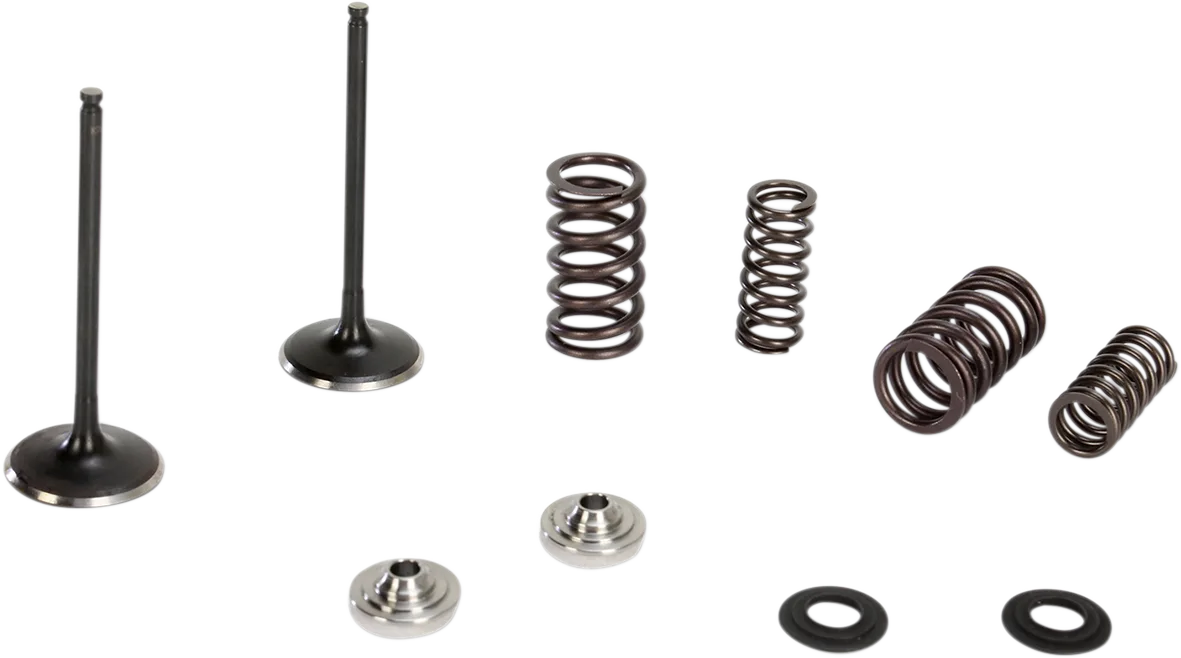 Intake Stainless Conversion Valve and Spring Kit