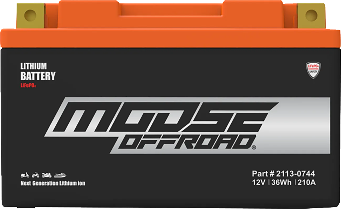 Lithium LiFePO4 Battery