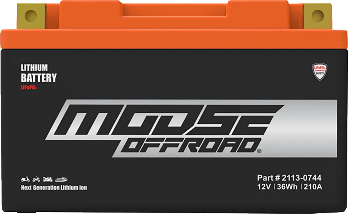 Lithium LiFePO4 Battery
