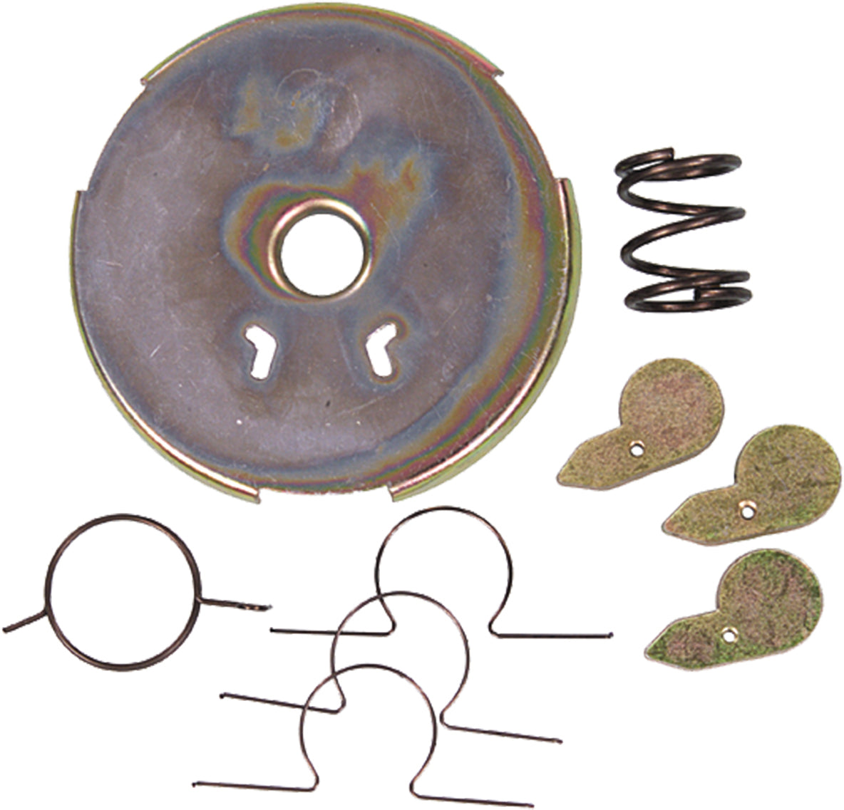 Recoil Starter Pawl Kit