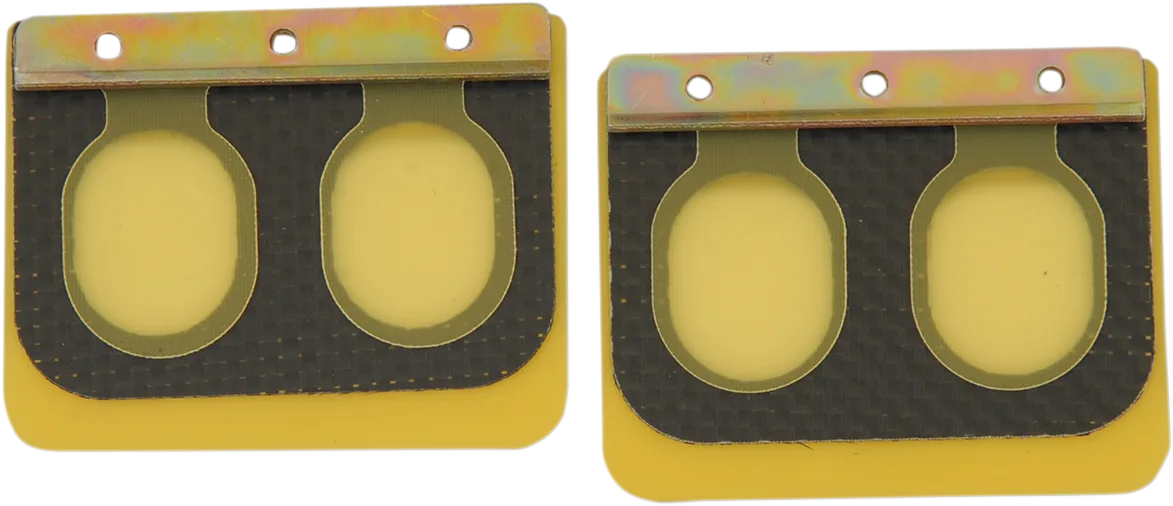 Replacement Pro Series Reed Set for RAD Valve