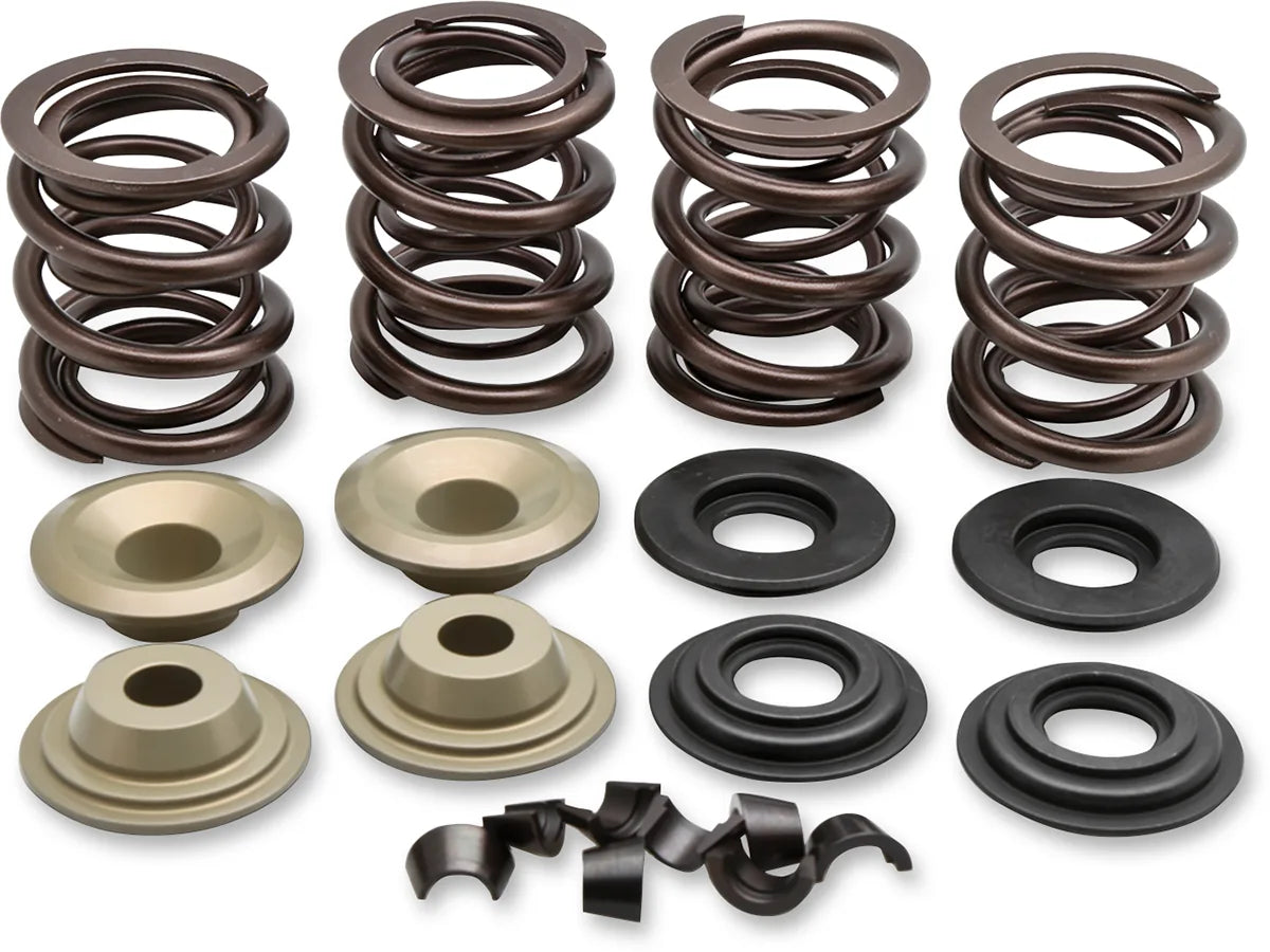 Racing Valve Spring Kit