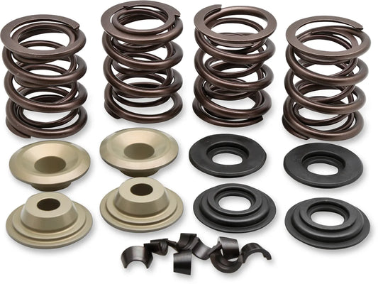 Racing Valve Spring Kit