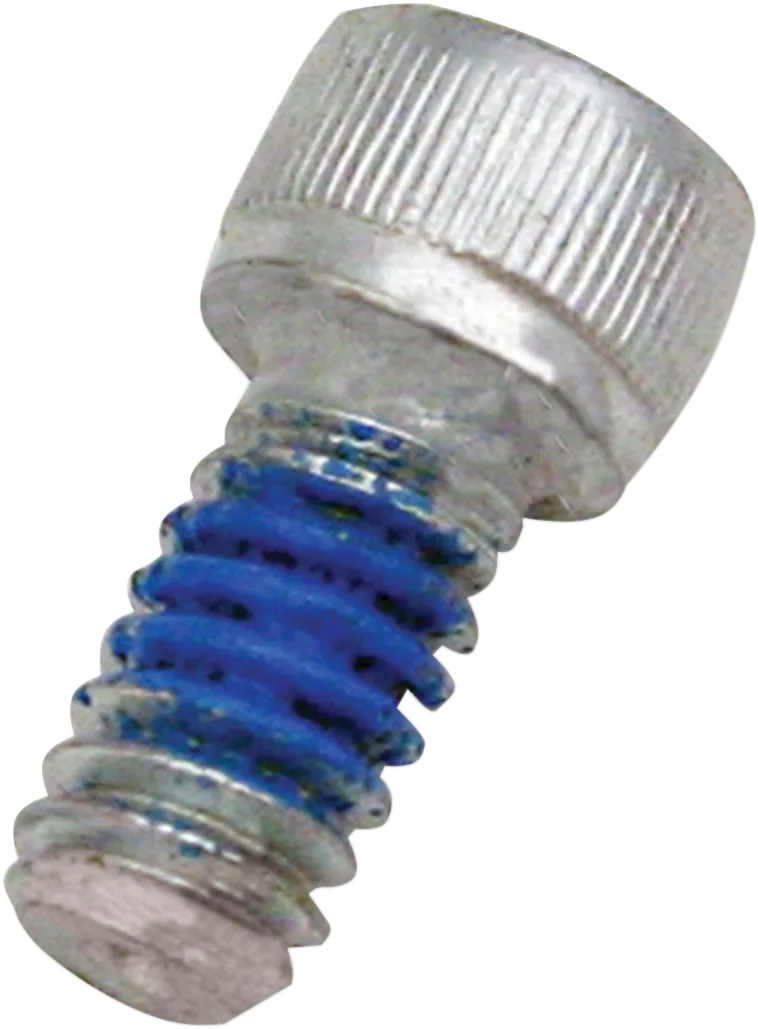 Replacement Air Cleaner Screw