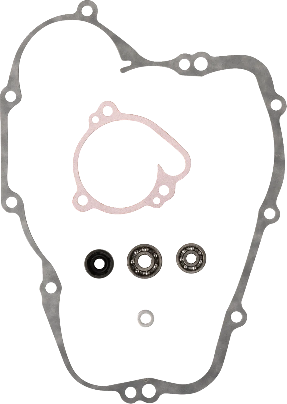 Water Pump Rebuild Kit