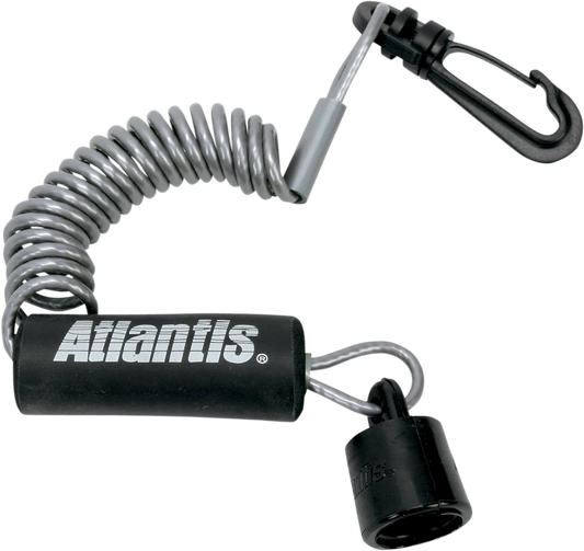 Lanyard