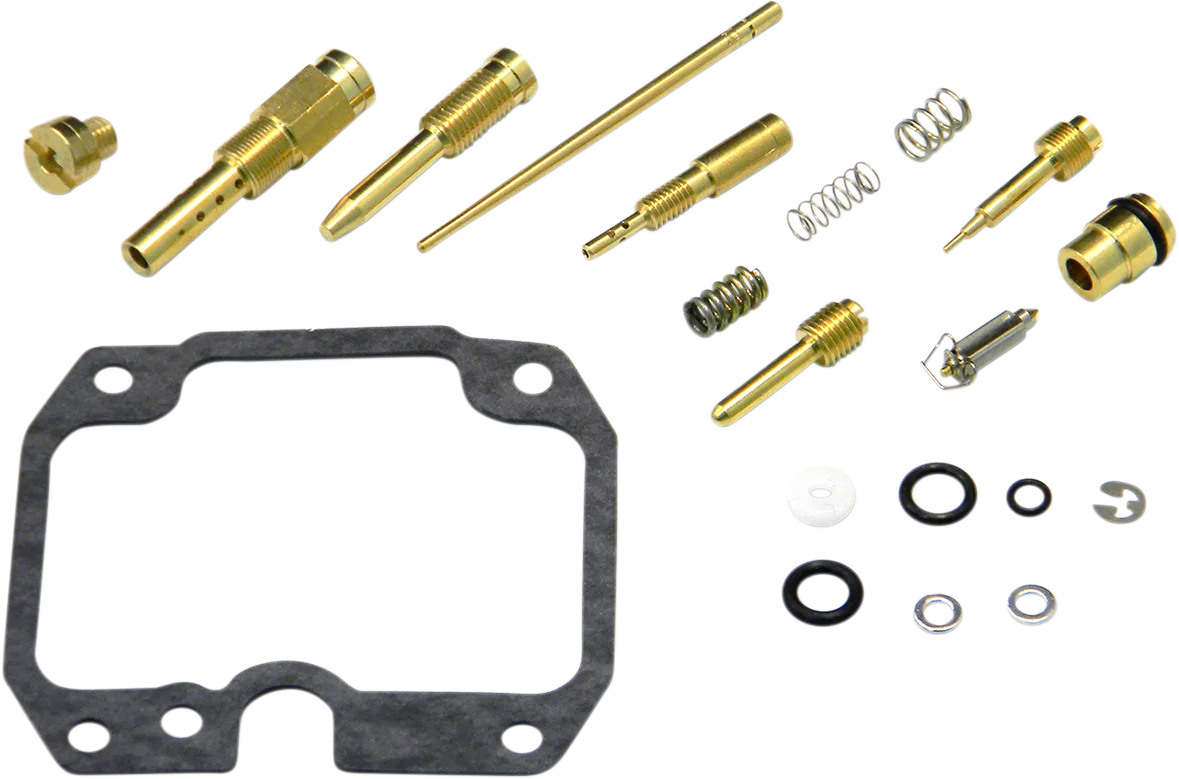 Carburetor Repair Kit