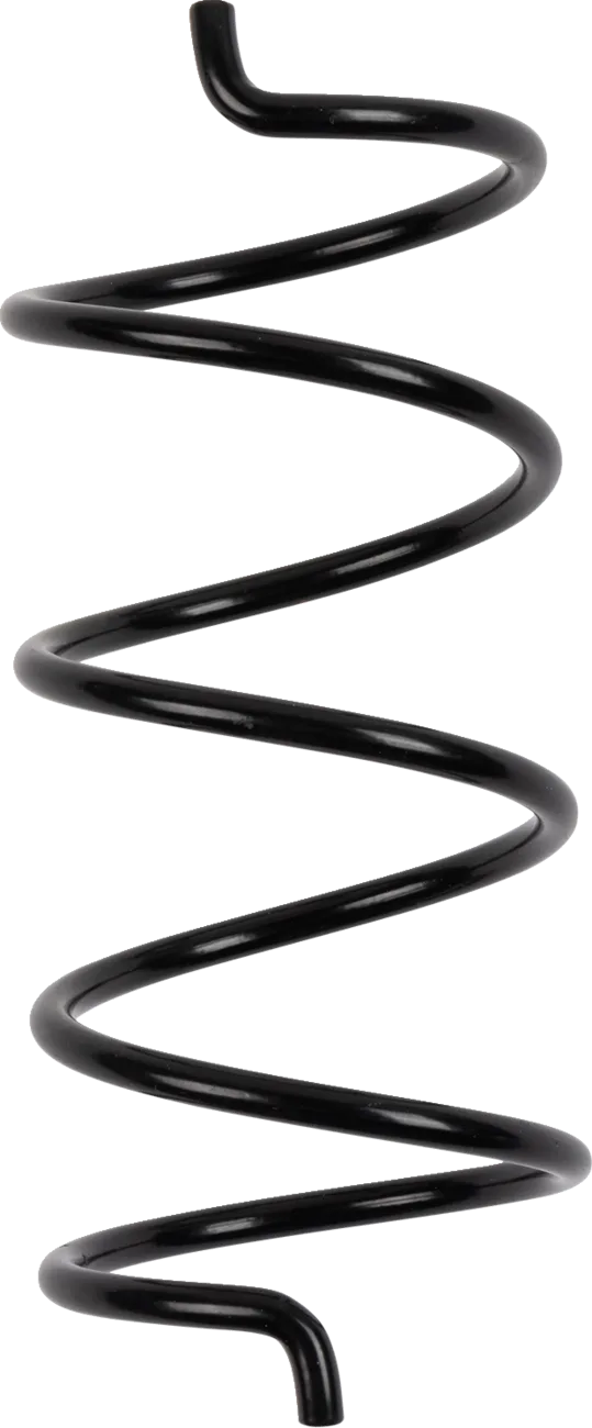 Secondary Clutch Spring