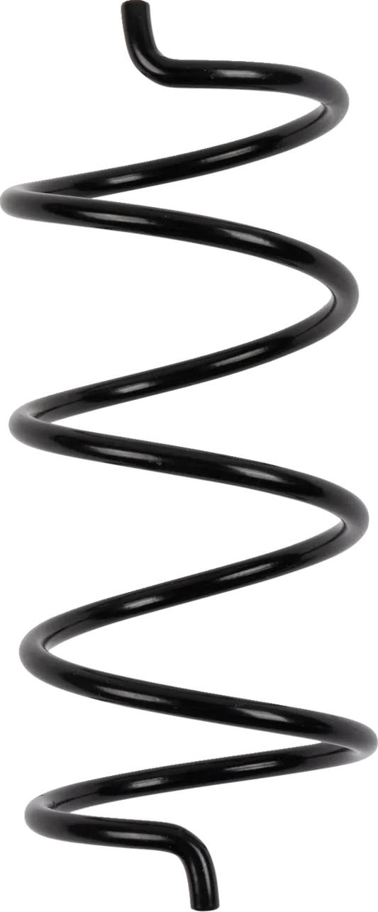 Secondary Clutch Spring