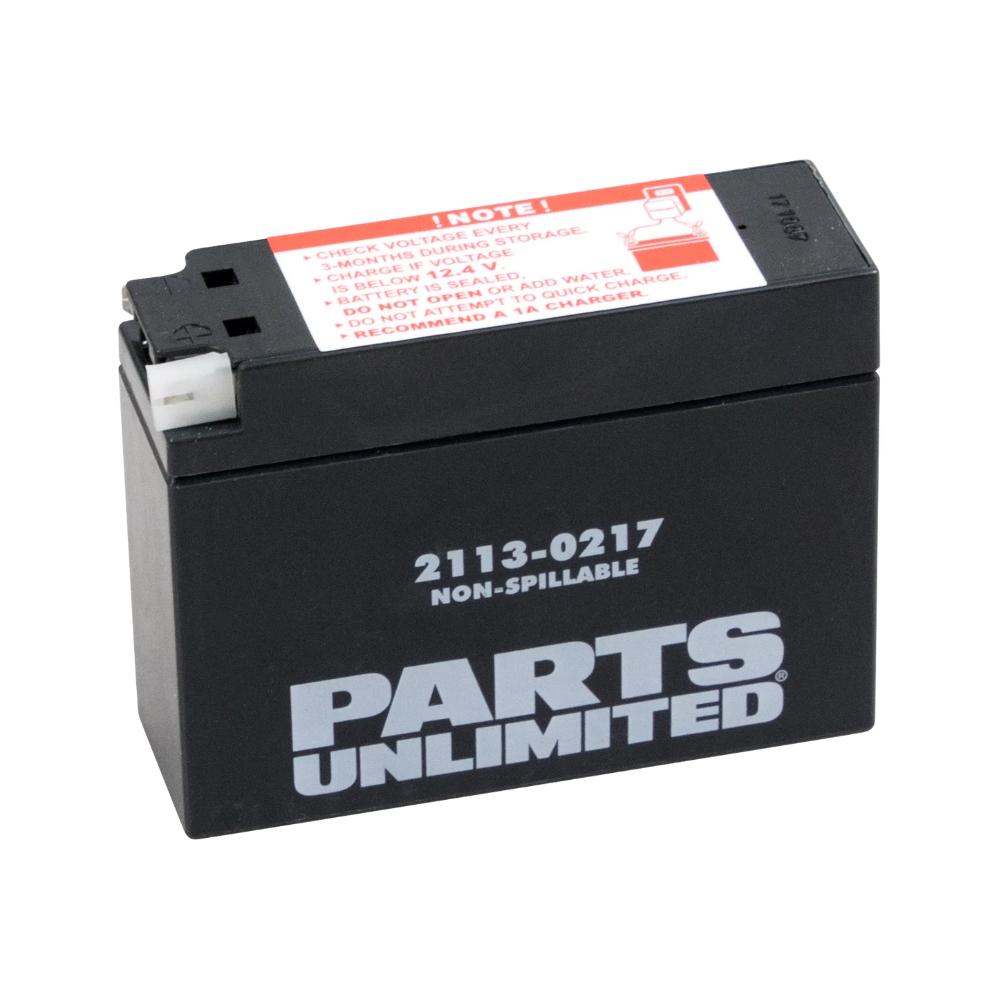 Factory-Activated AGM Maintenance-Free Battery