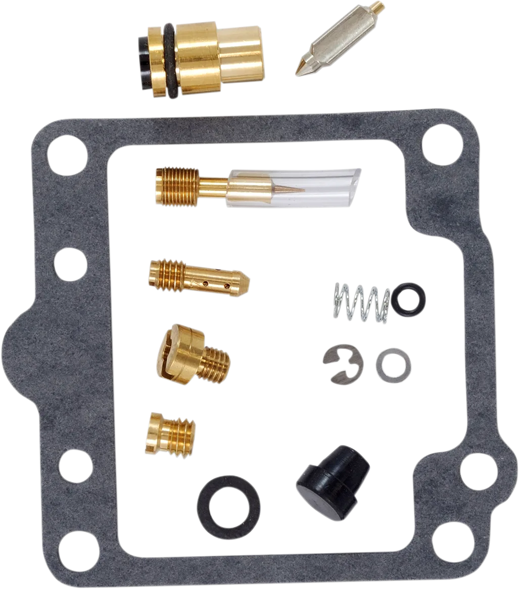 Carburetor Repair Kit