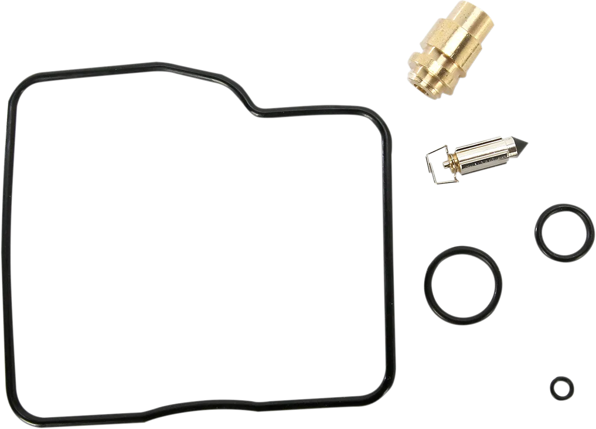 Carburetor Repair Kit