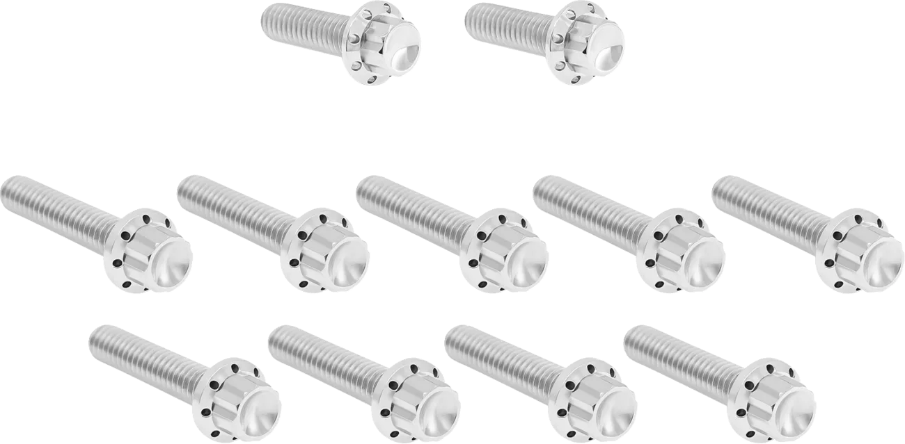 Cam Cover/Point Cover Titanium 12-Point Bolt Kit