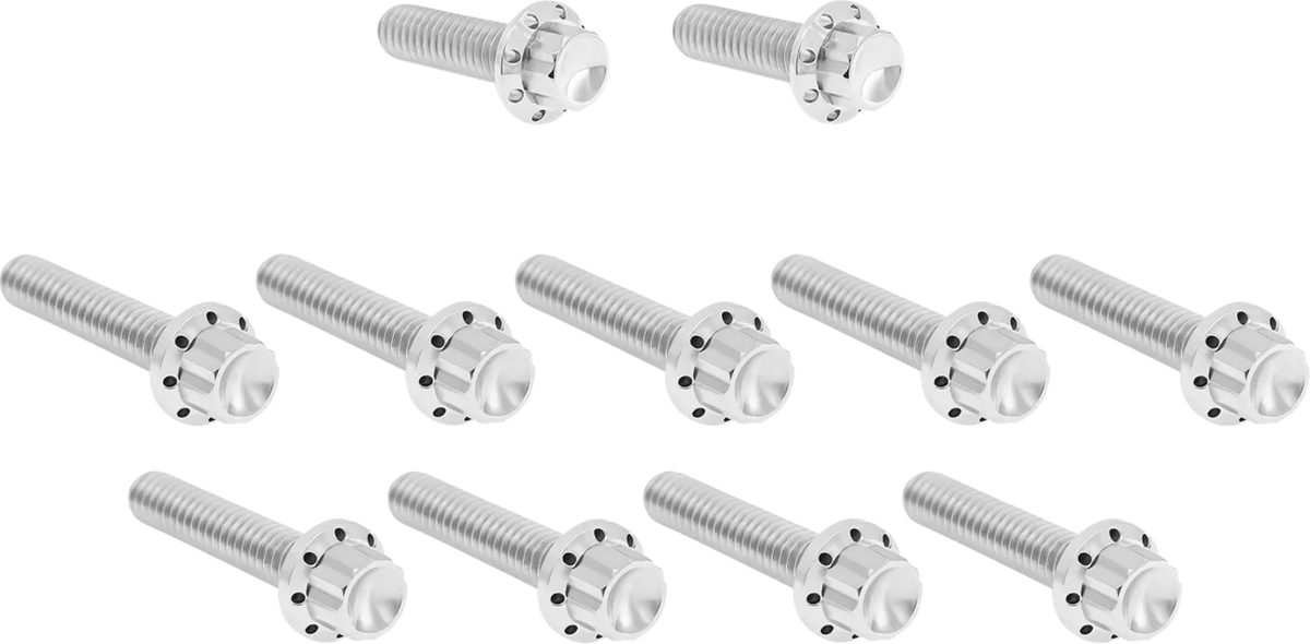 Cam Cover/Point Cover Titanium 12-Point Bolt Kit