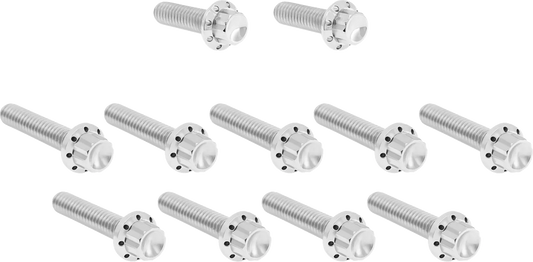 Cam Cover/Point Cover Titanium 12-Point Bolt Kit