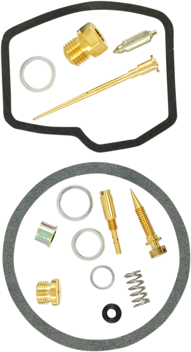 Carburetor Repair Kit