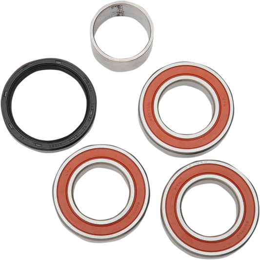 ATV/UTV Track System Bearing Kit