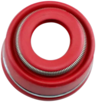 Valve Guide Seals