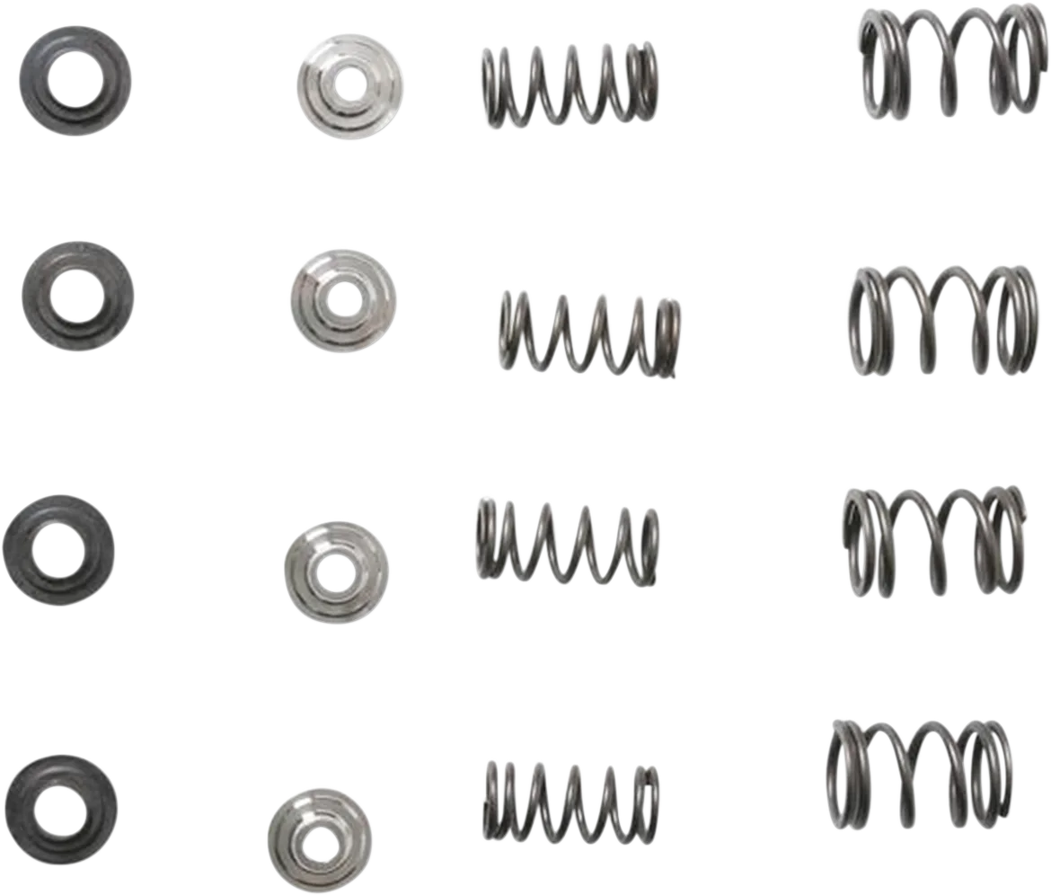 Valve Spring Kit