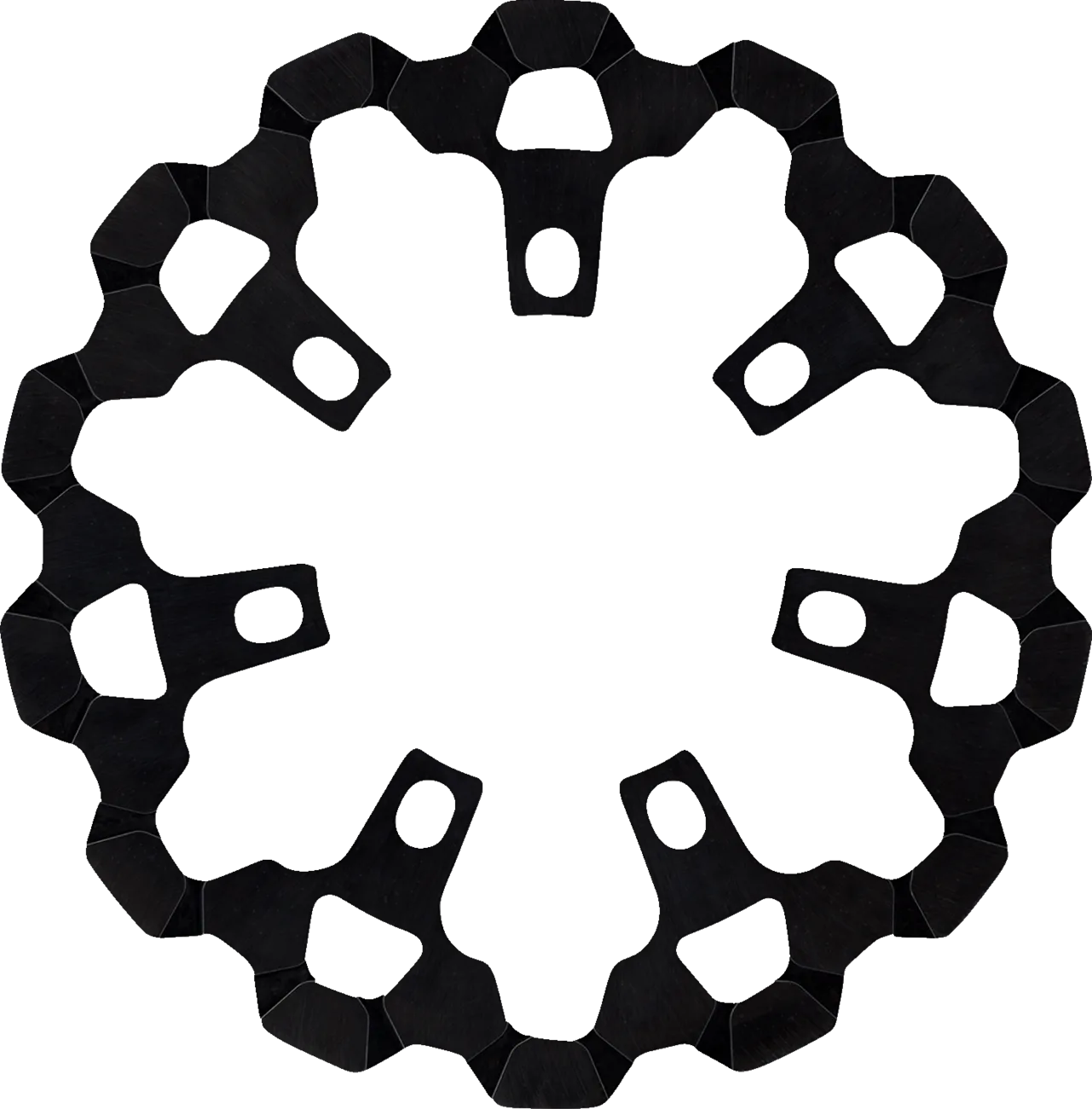Front Brake Rotor