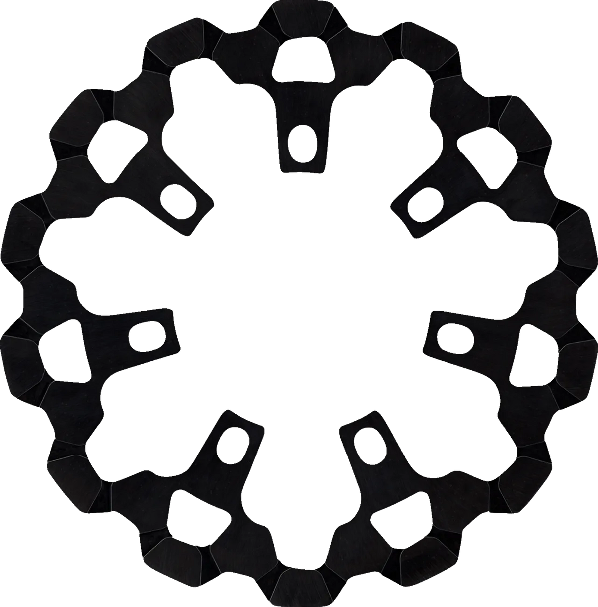 Front Brake Rotor