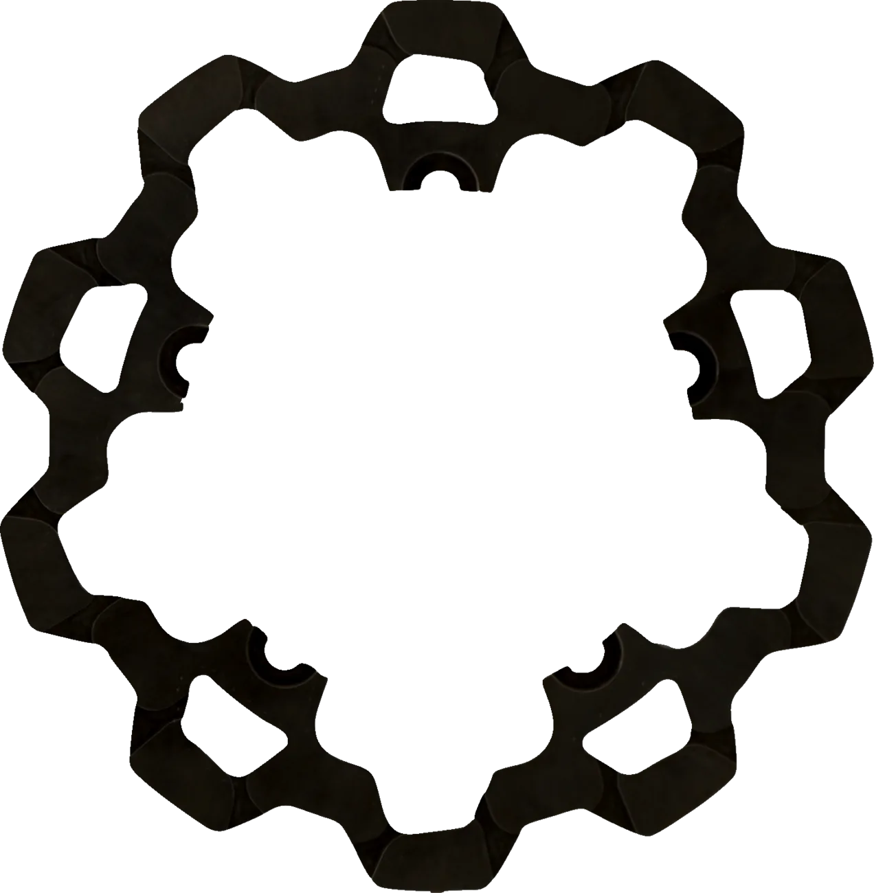 Front Brake Rotor