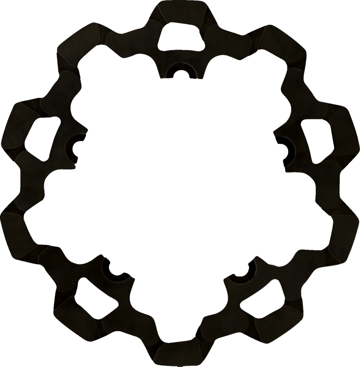 Front Brake Rotor