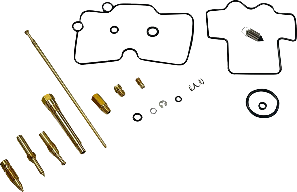 Carburetor Repair Kit