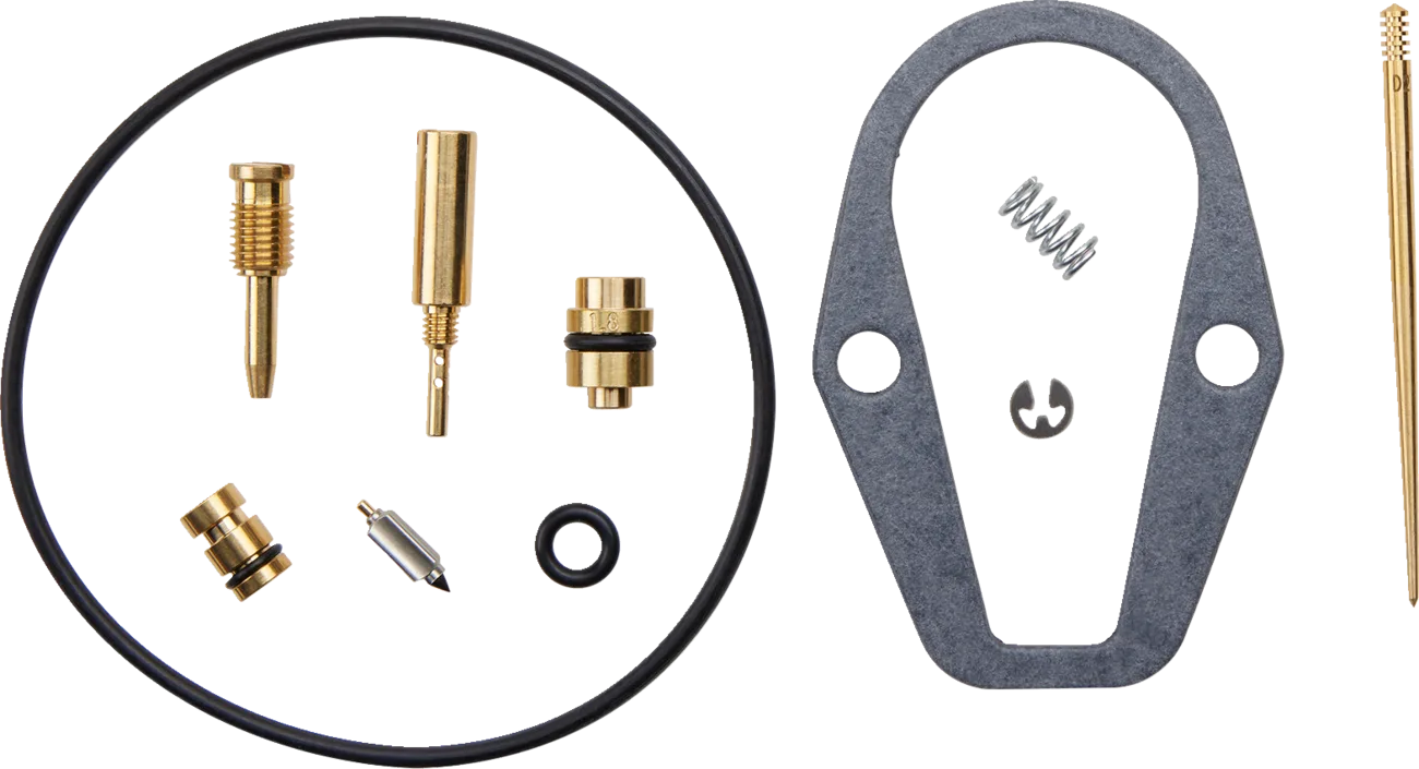 Carburetor Repair Kit