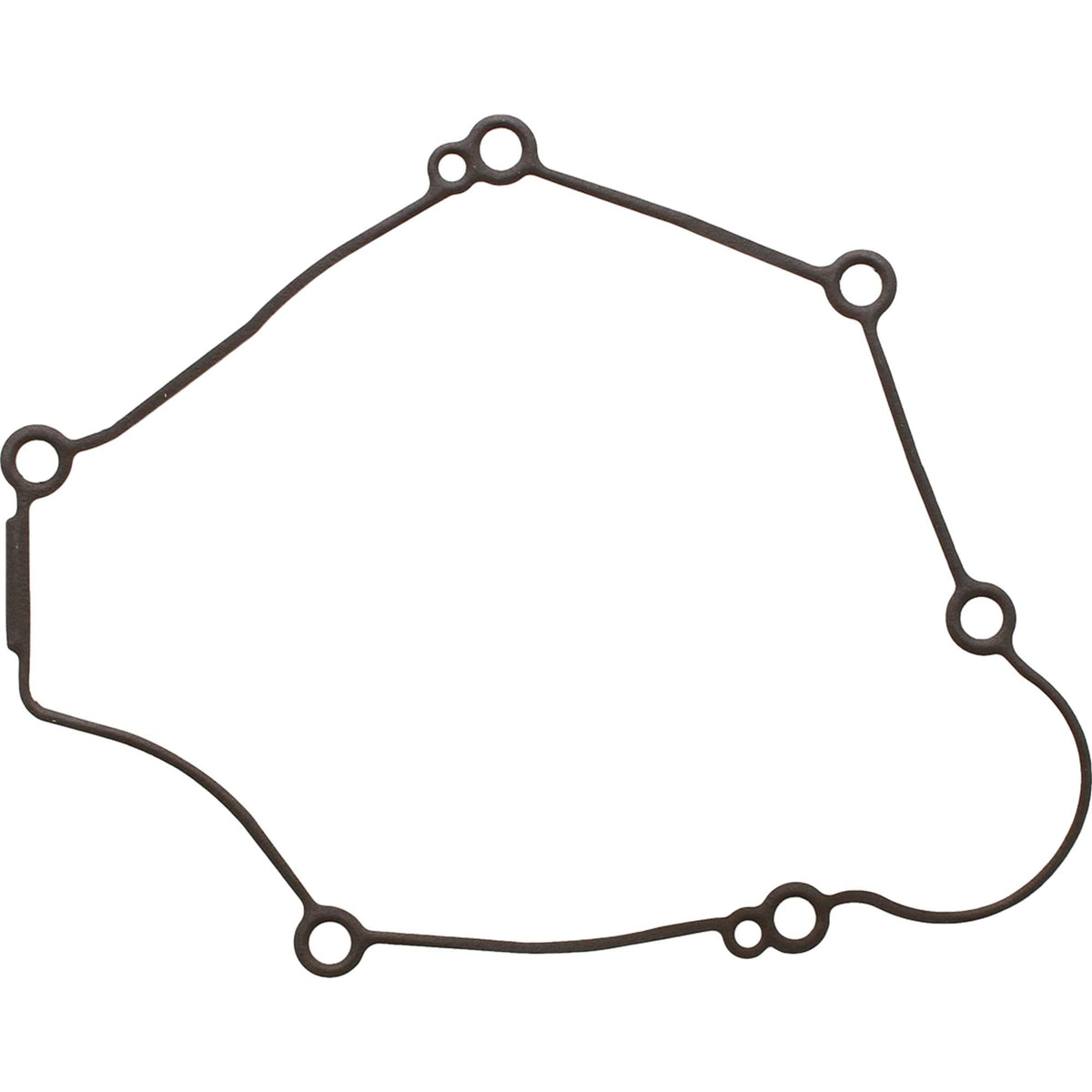 Ignition Cover Gasket