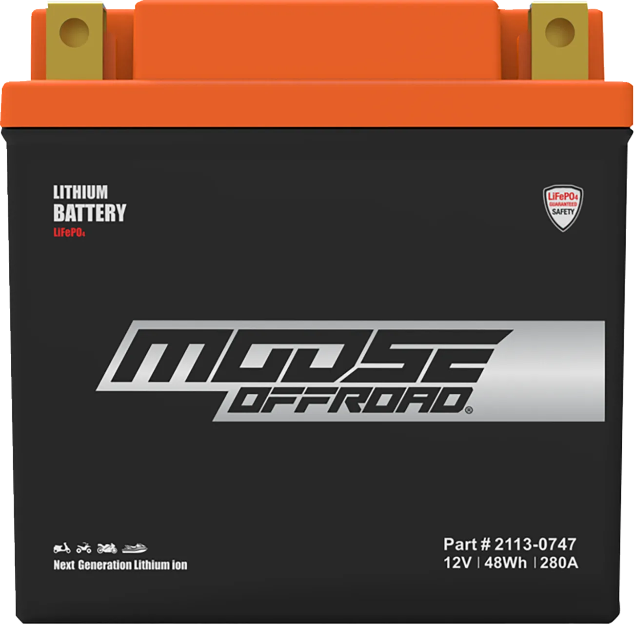 Lithium LiFePO4 Battery