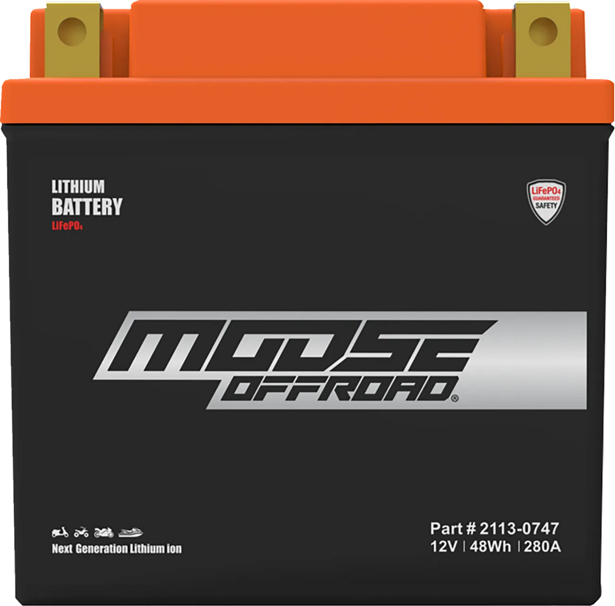 Lithium LiFePO4 Battery
