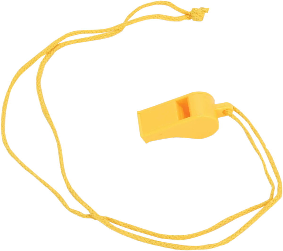 Whistle with Cord