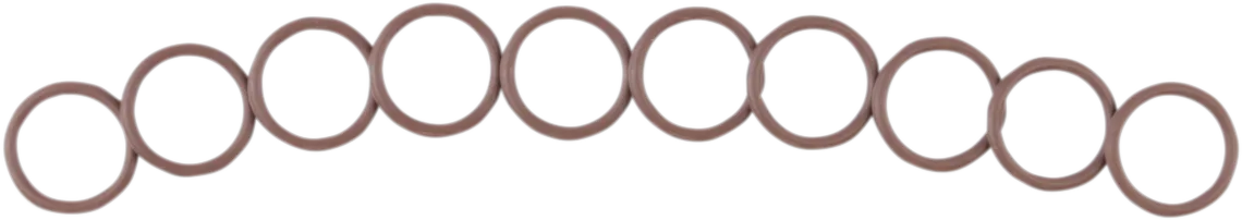 Cam Sensor O-Ring