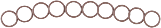 Cam Sensor O-Ring