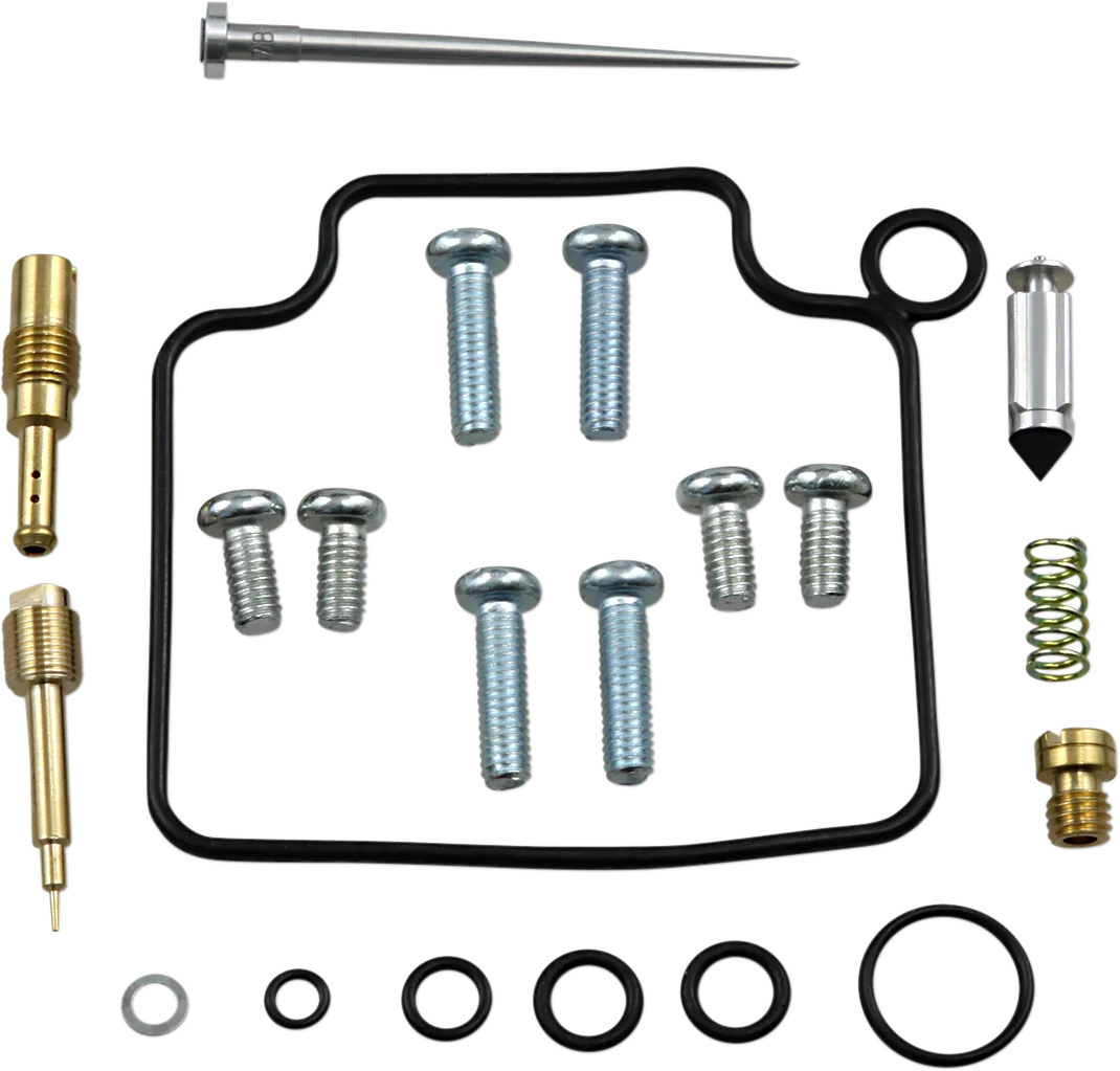 Carburetor Repair Kit