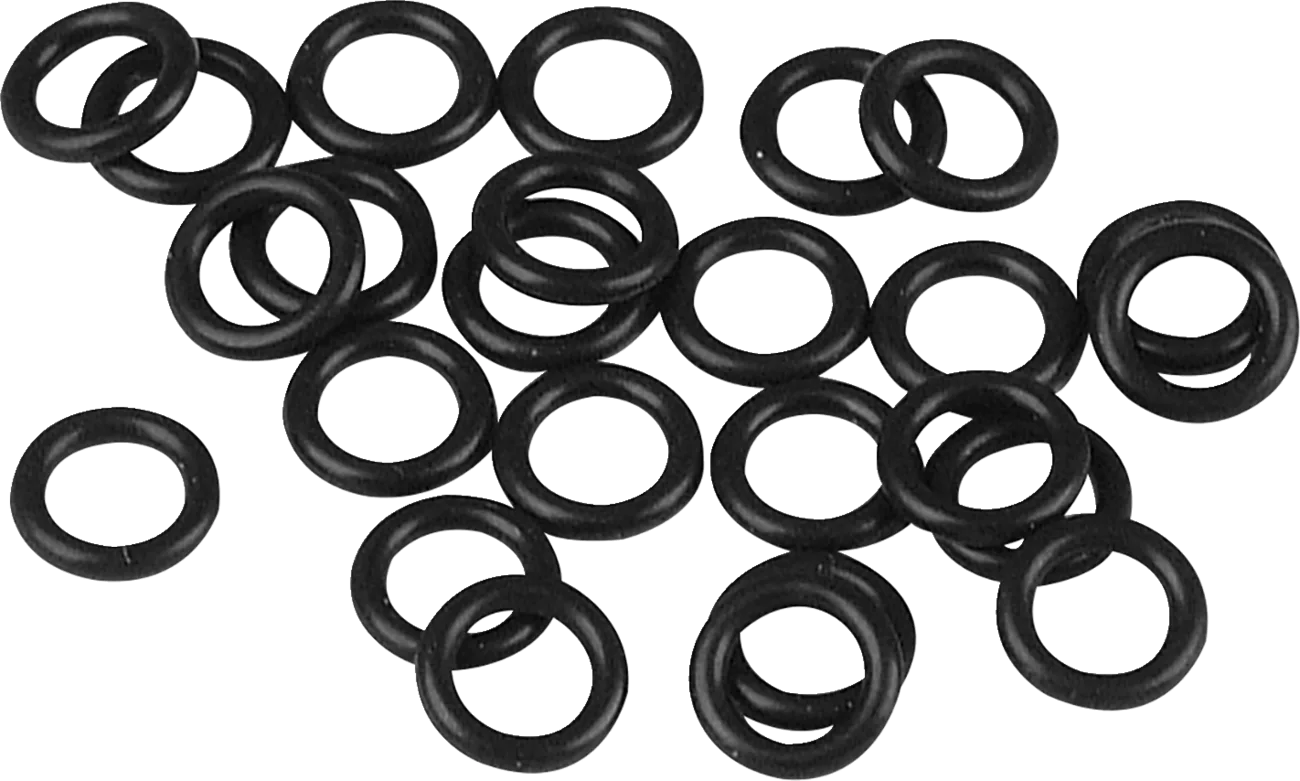 Starter O-Ring