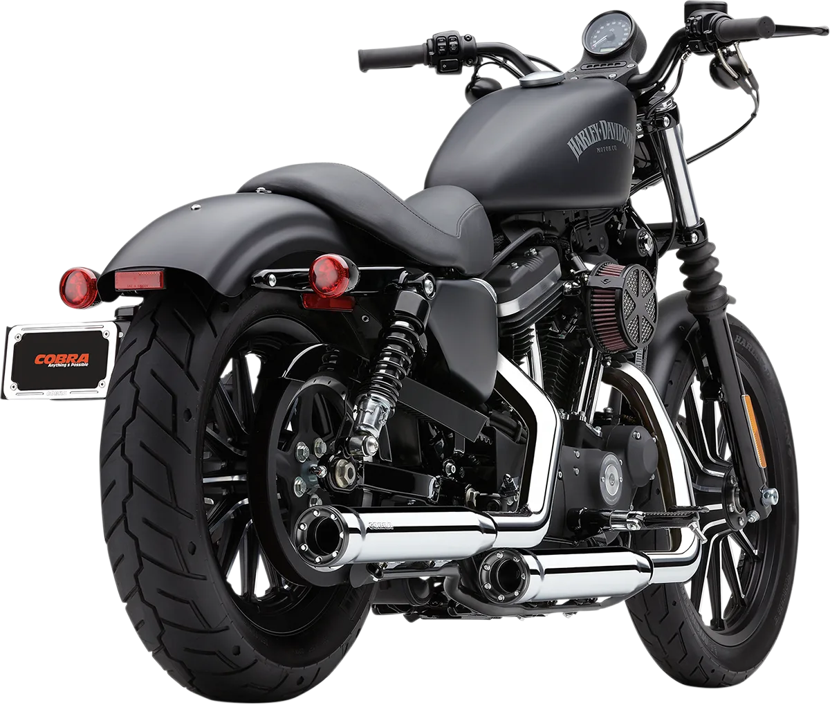 Slip-On Mufflers with Race-Pro Tips