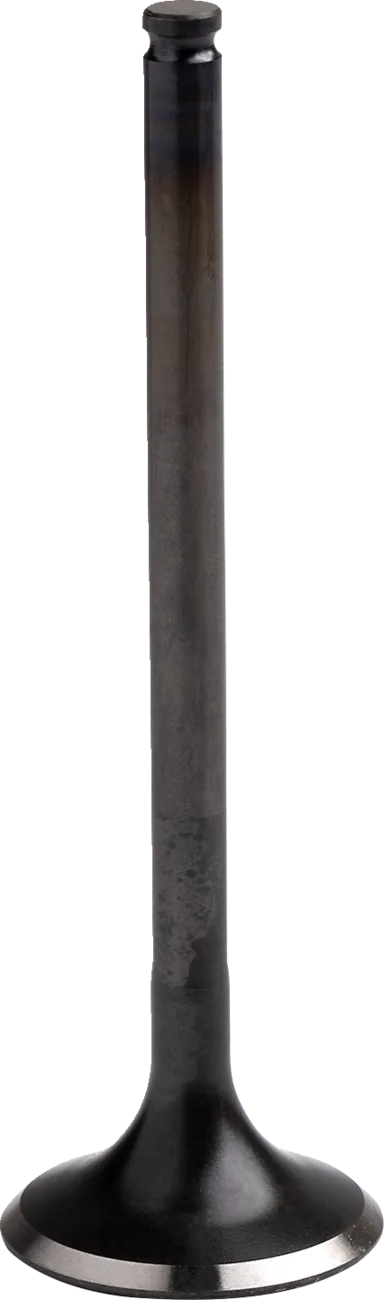 Engine Valve