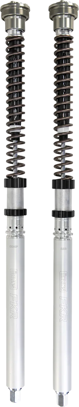 Fork Cartridge Kit