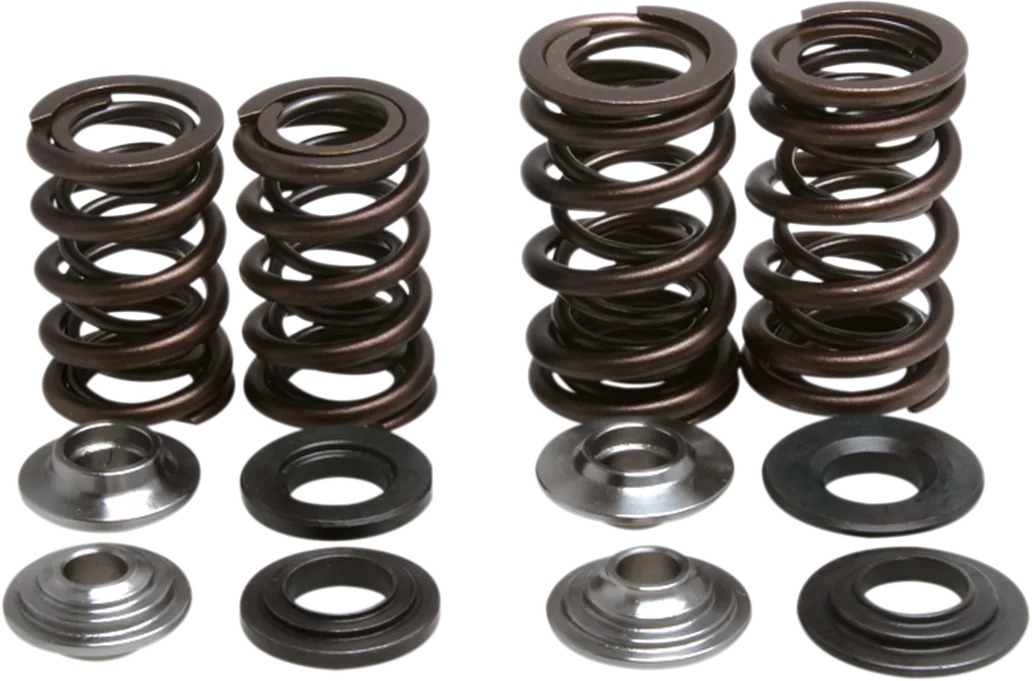Lightweight Racing Valve Spring Kit