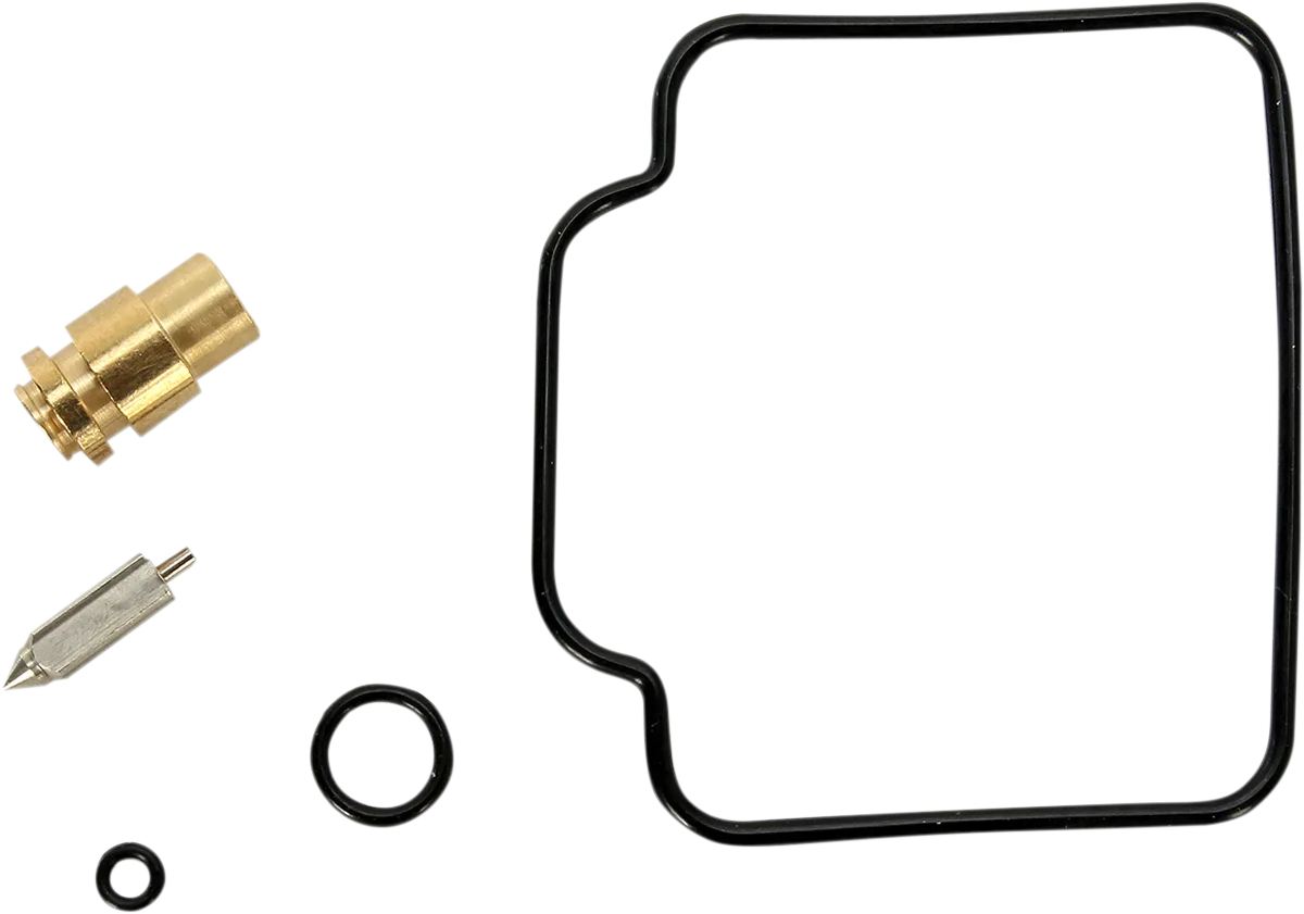 Carburetor Repair Kit