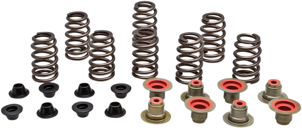 Beehive Valve Spring Kit
